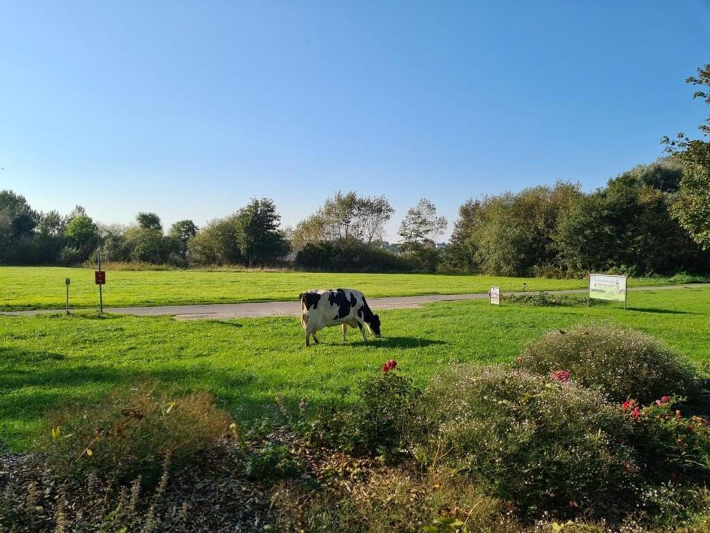 Ferienwohnung Sonnenaufgangsgenuss Harriersand Schwanewede Exterior foto